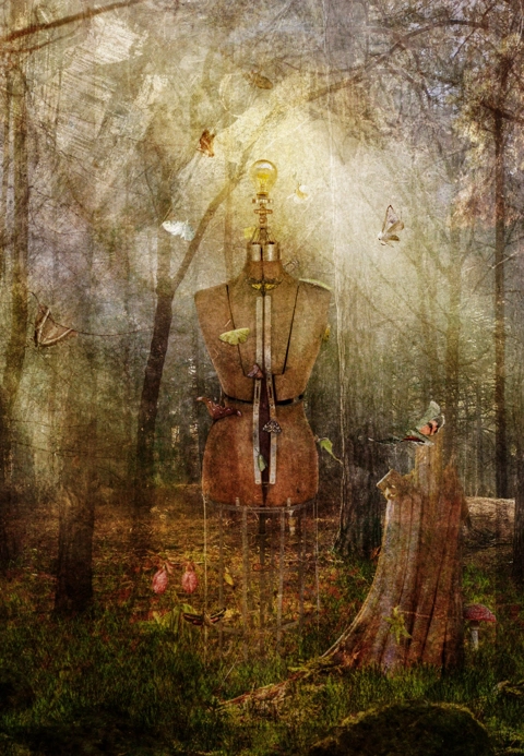 Forgotten Shrine of Lepidoptera